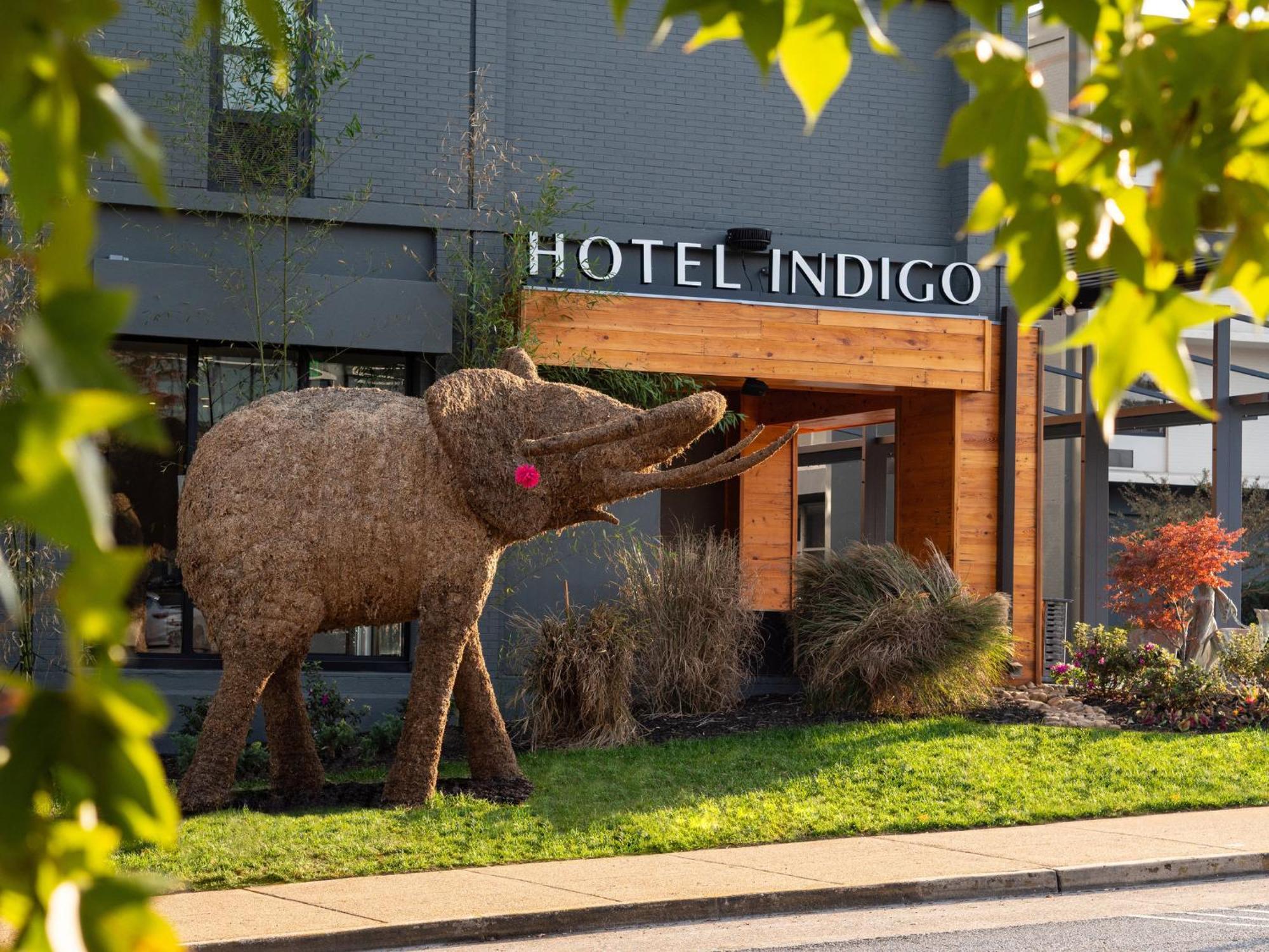Hotel Indigo Chattanooga - Downtown By Ihg Zewnętrze zdjęcie