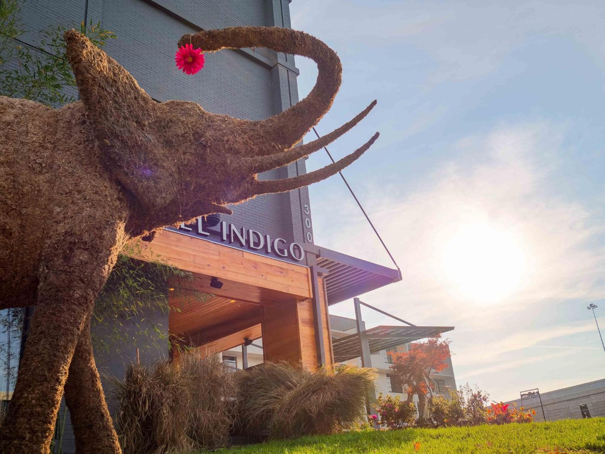 Hotel Indigo Chattanooga - Downtown By Ihg Zewnętrze zdjęcie